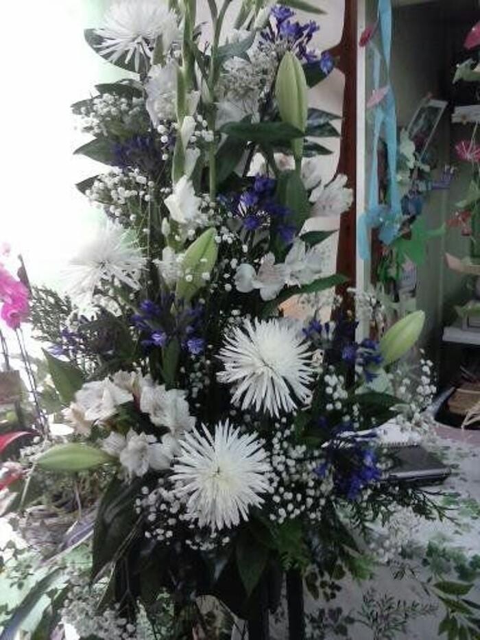 Images Artemisa Flores