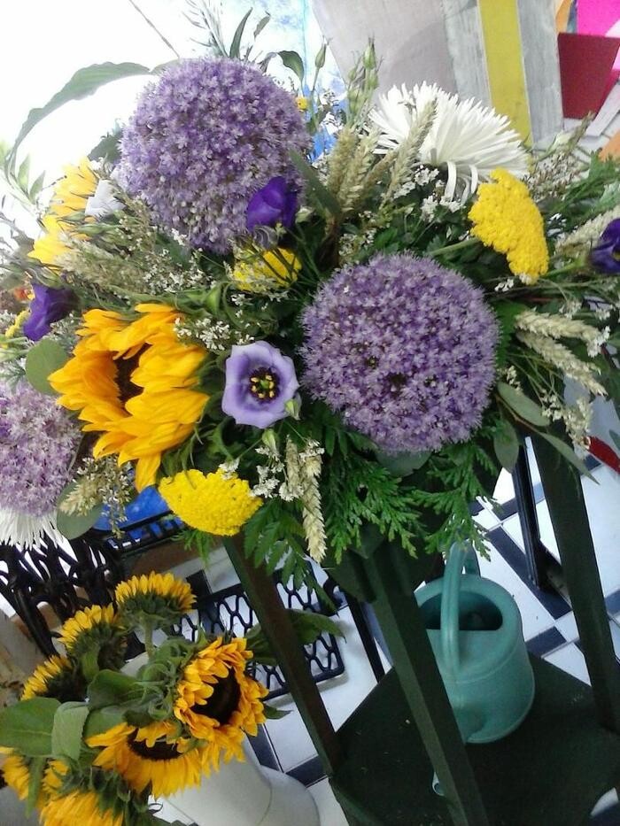 Images Artemisa Flores