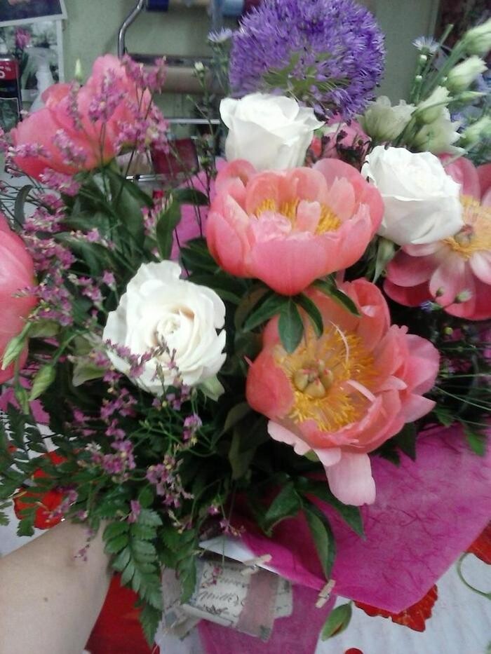 Images Artemisa Flores