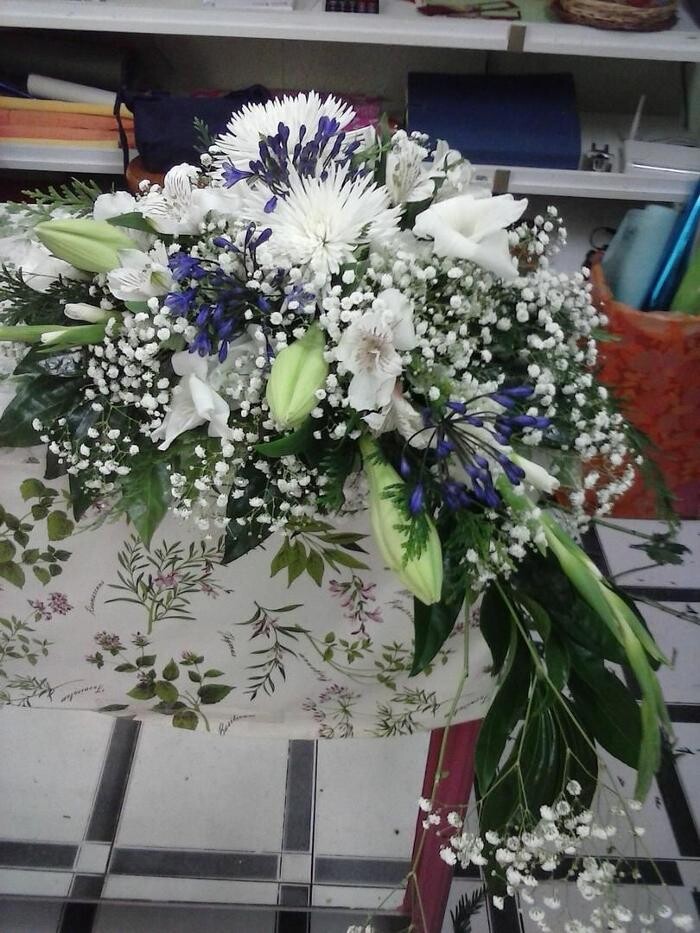 Images Artemisa Flores