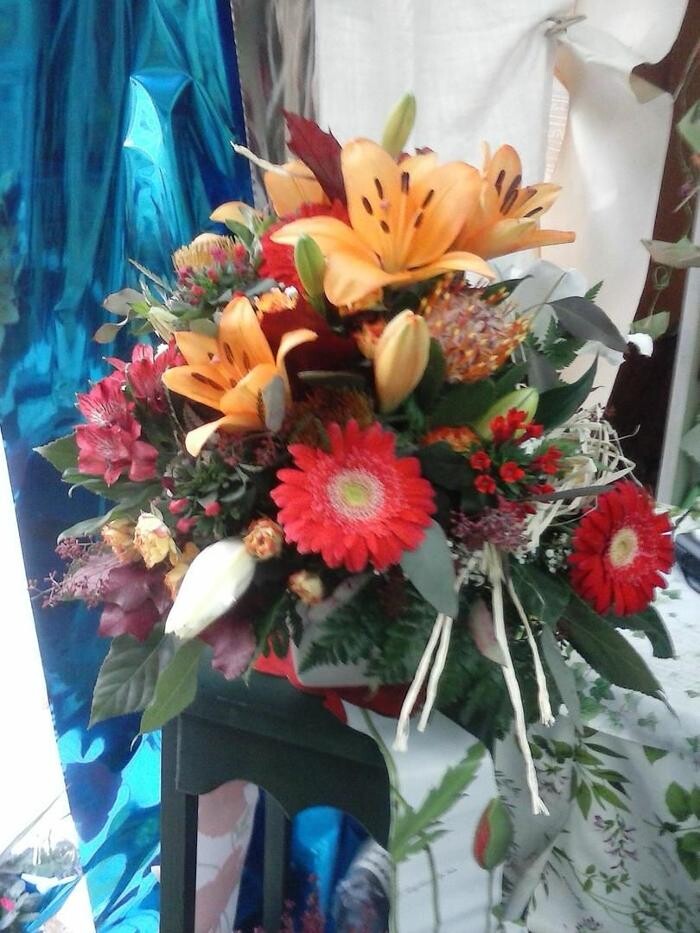 Images Artemisa Flores