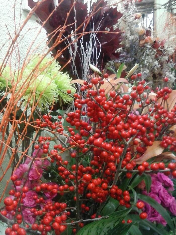 Images Artemisa Flores