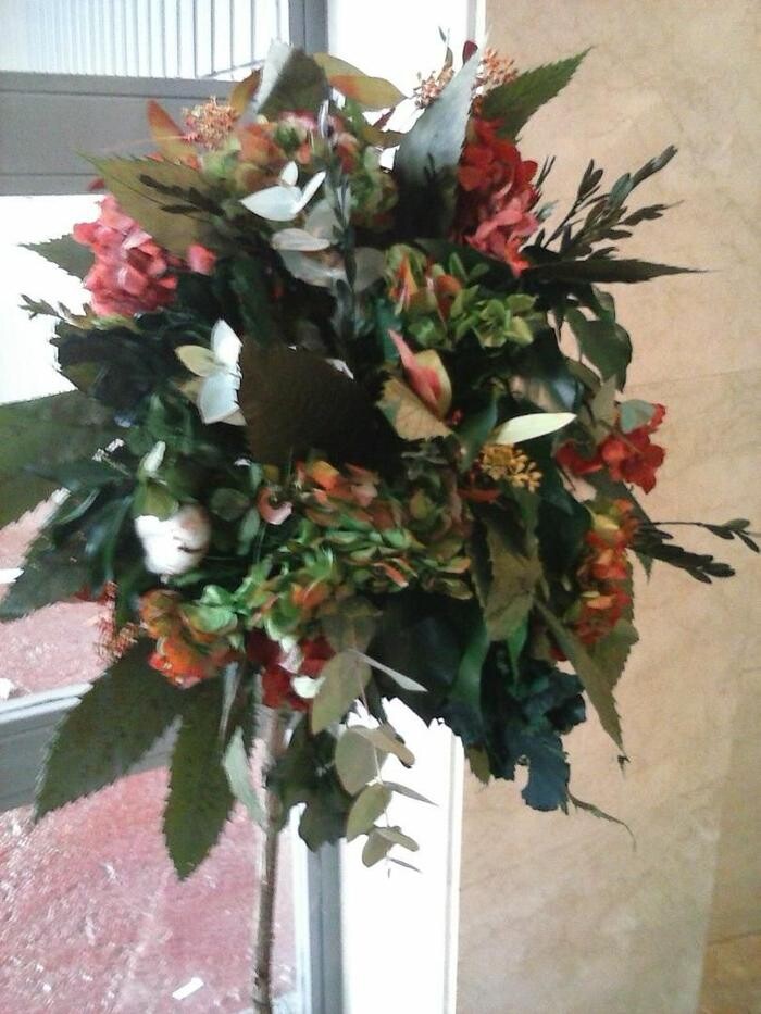 Images Artemisa Flores