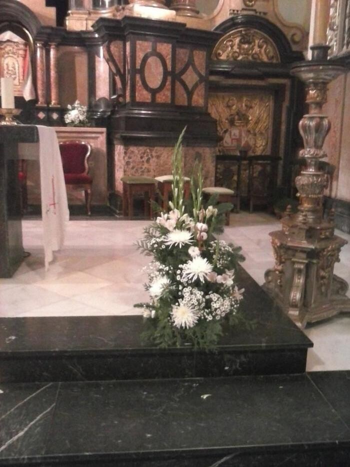 Images Artemisa Flores