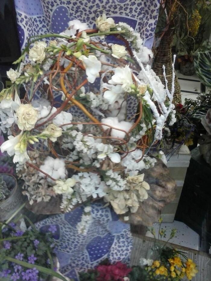 Images Artemisa Flores