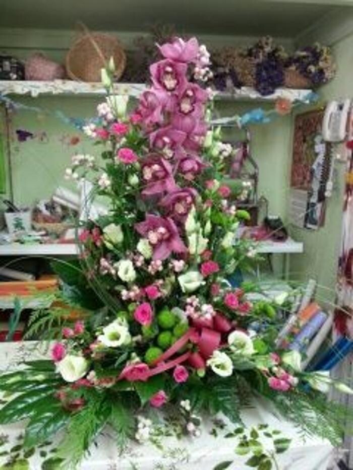 Images Artemisa Flores