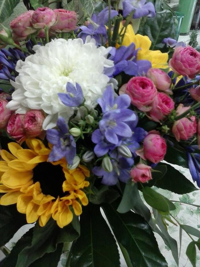 Images Artemisa Flores