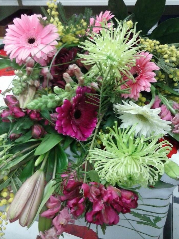 Images Artemisa Flores