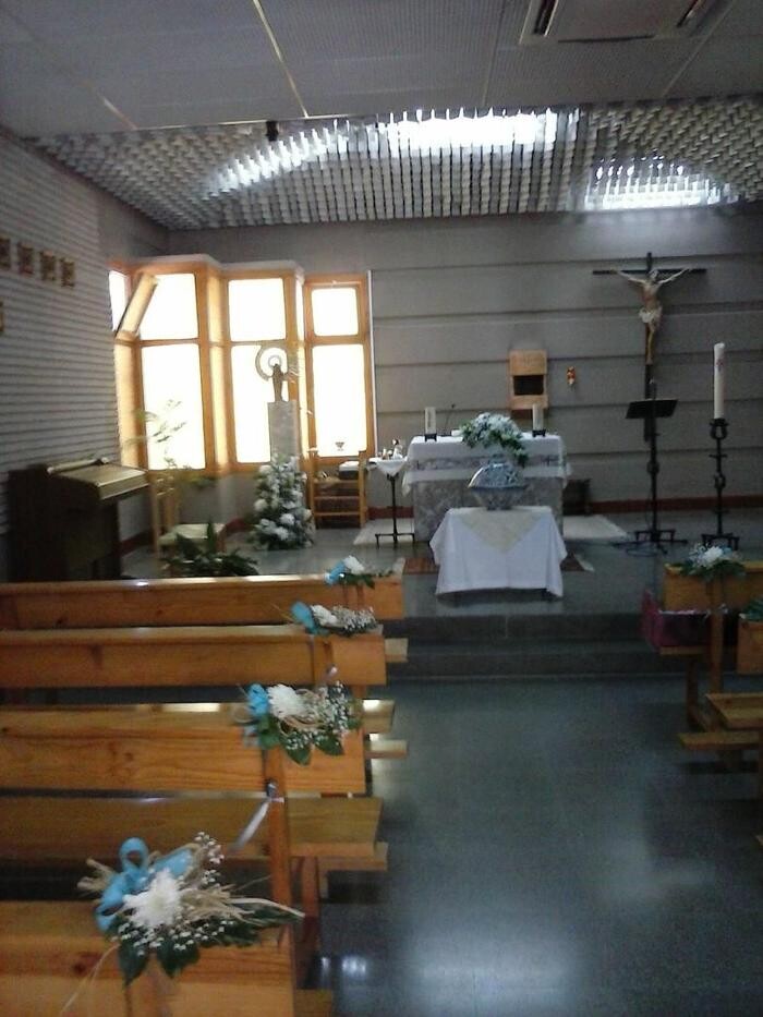 Images Artemisa Flores