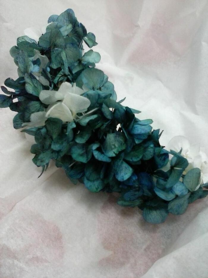 Images Artemisa Flores