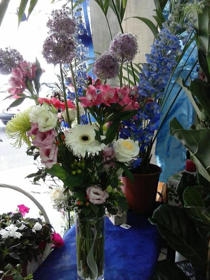 Images Artemisa Flores