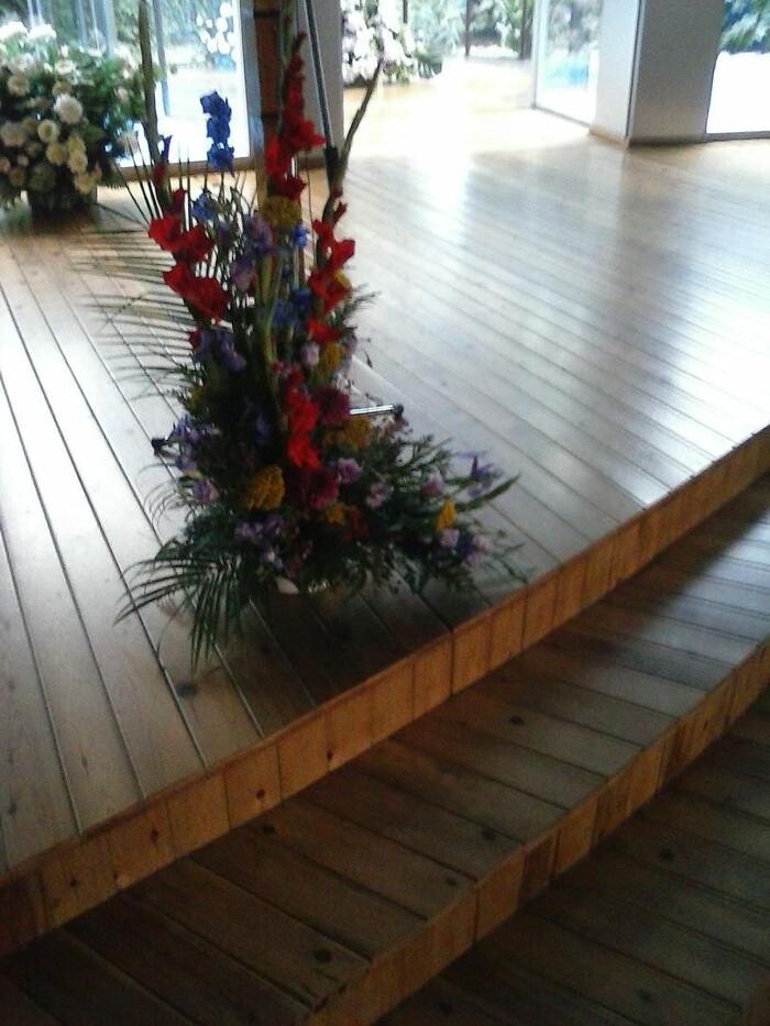 Images Artemisa Flores