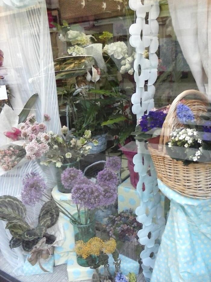 Images Artemisa Flores