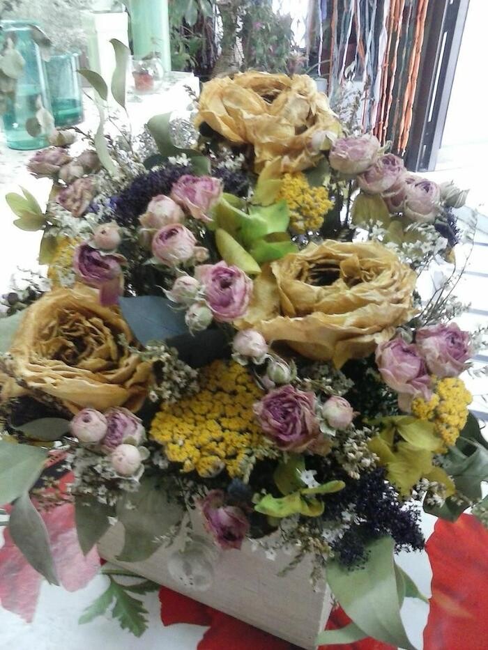 Images Artemisa Flores