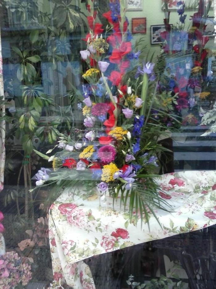 Images Artemisa Flores