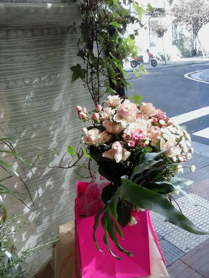 Images Artemisa Flores