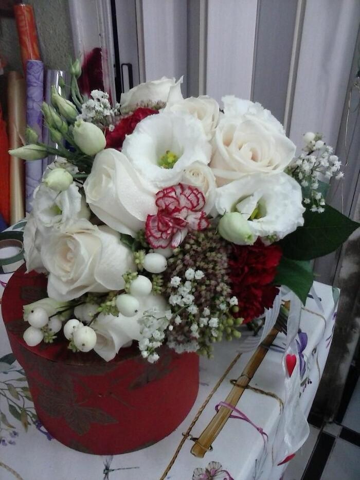 Images Artemisa Flores