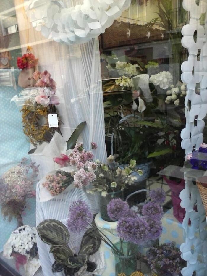 Images Artemisa Flores