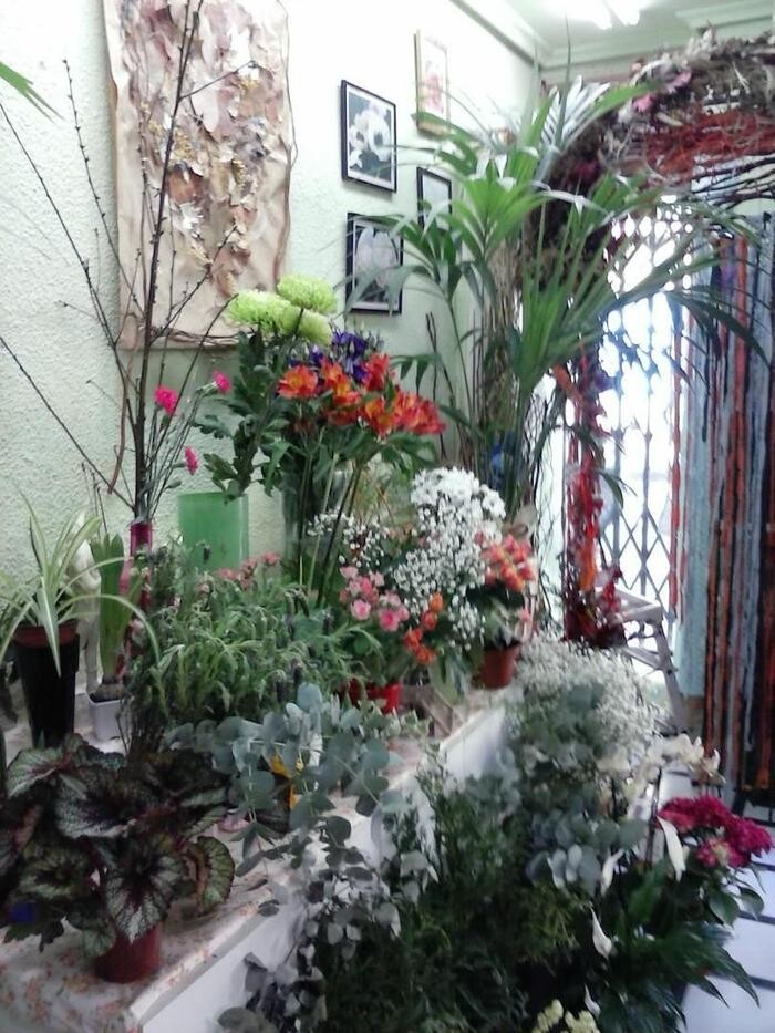 Images Artemisa Flores