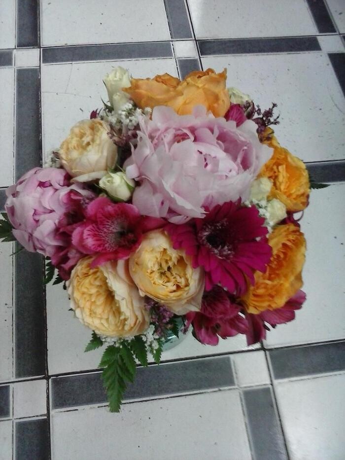 Images Artemisa Flores