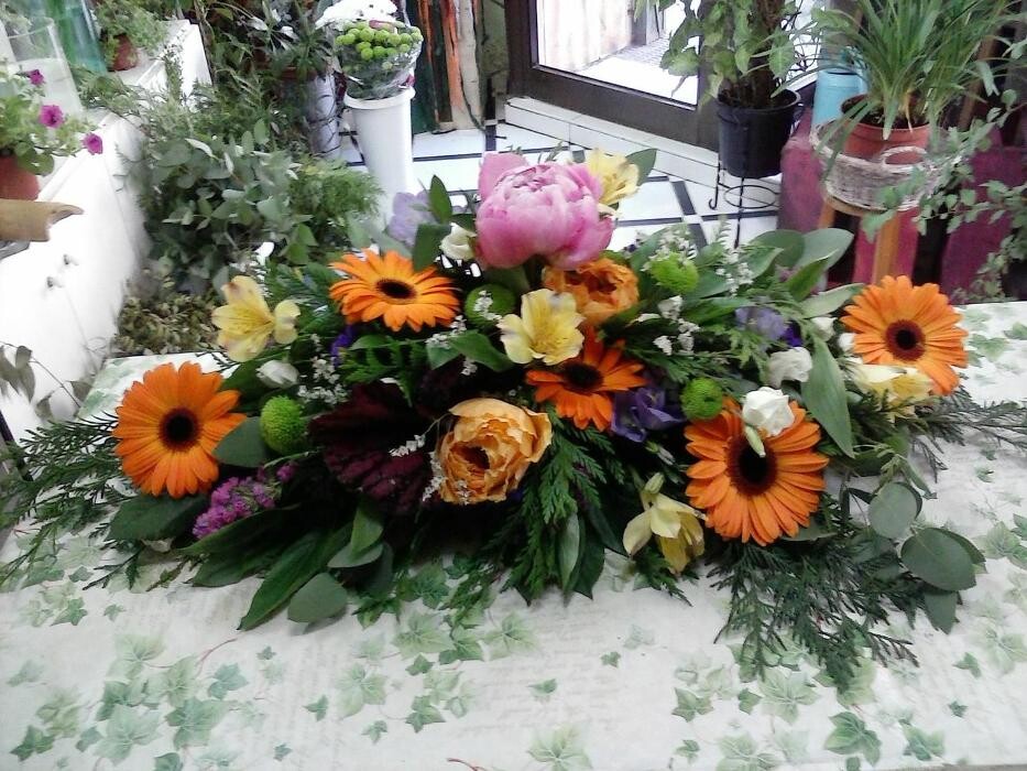 Images Artemisa Flores