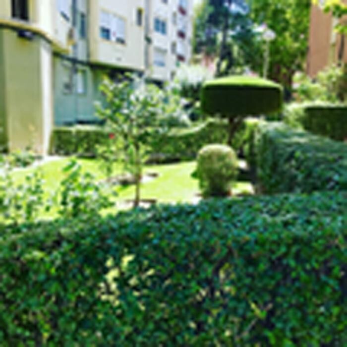FJRP JARDINERÍA Y LIMPIEZA Logo