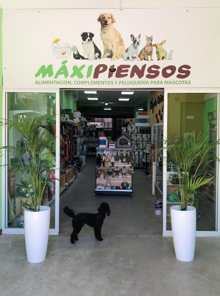 Images MaxiPiensos