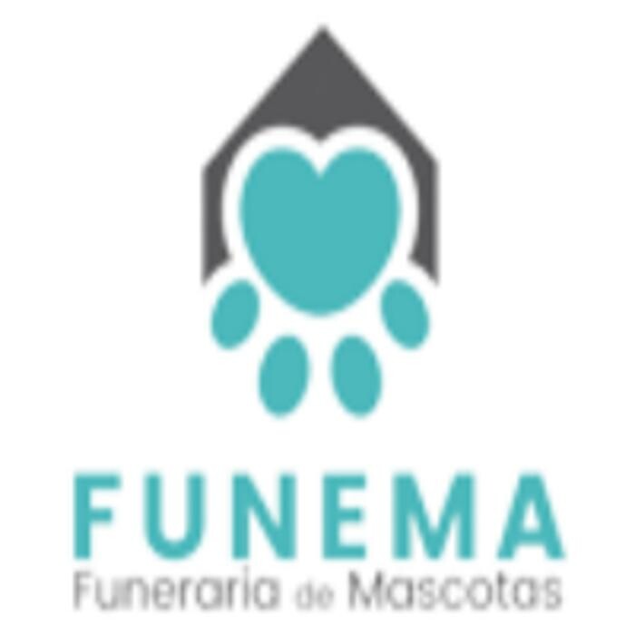 Funema Alzira Logo