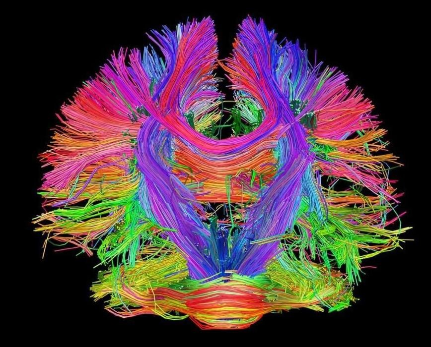 Images Amelia Rodríguez Método Yuen