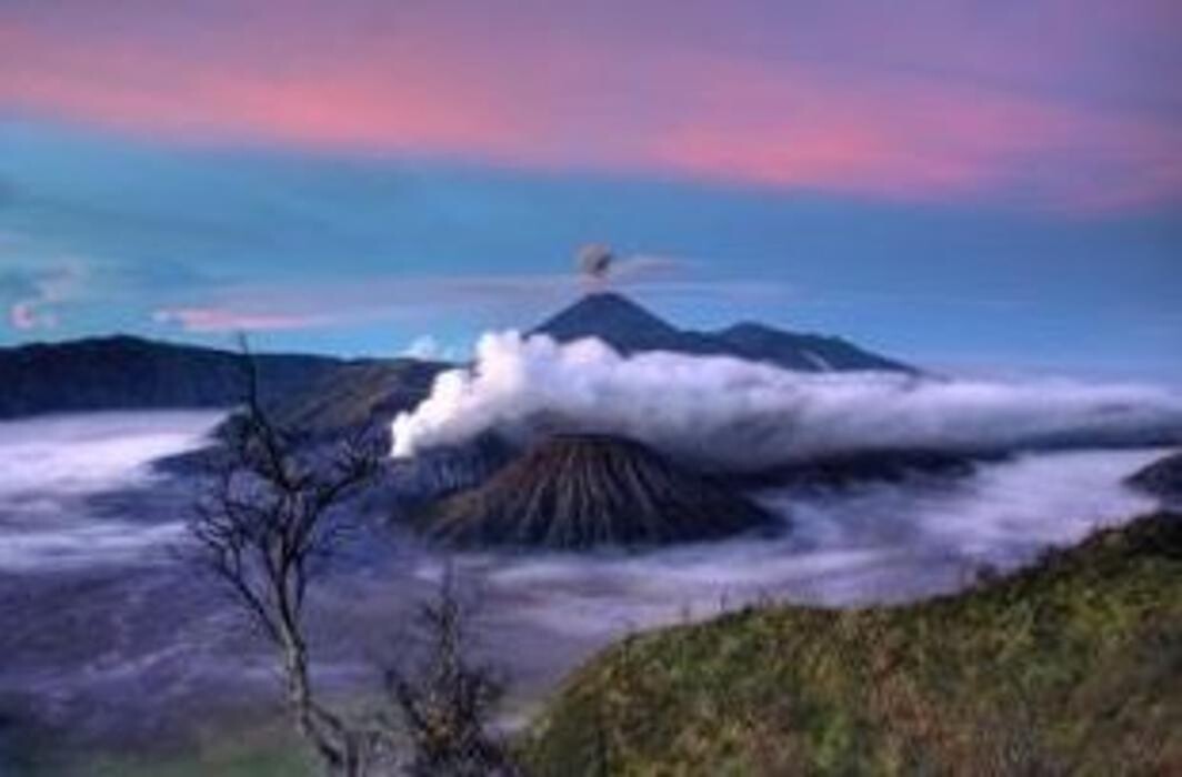 Images Amelia Rodríguez Método Yuen