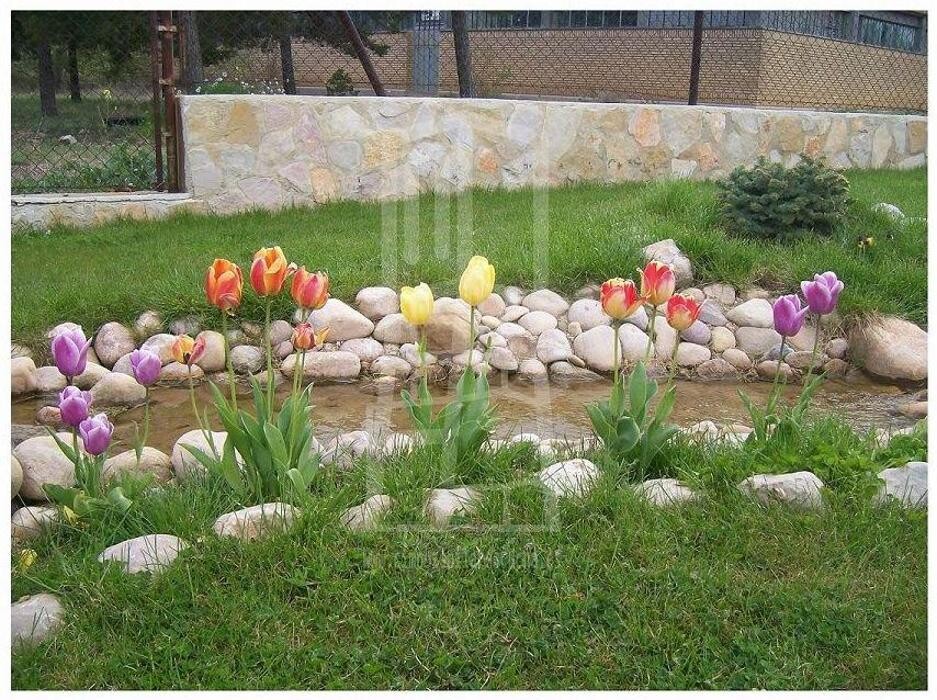 Images Centro Interpretativo Minero Pozo Pilar de Escucha