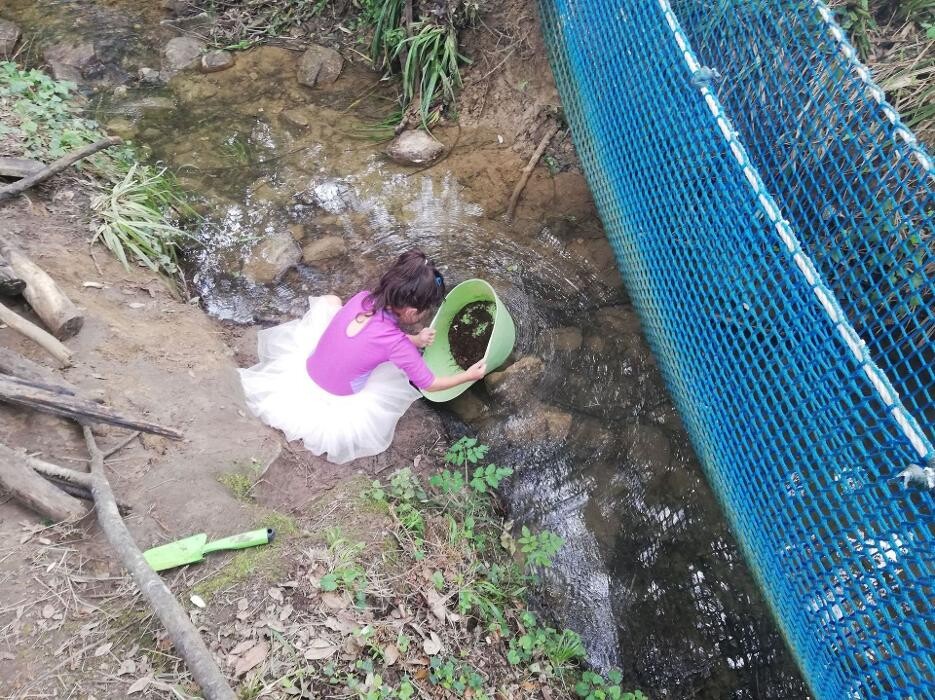 Images Arima Dantza Eskola