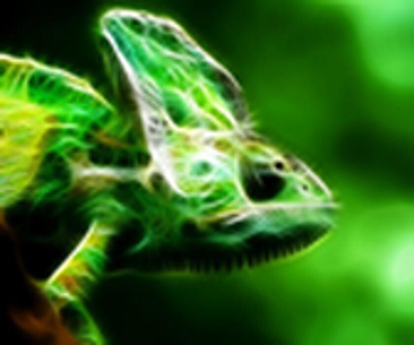 Reptil Parc Logo
