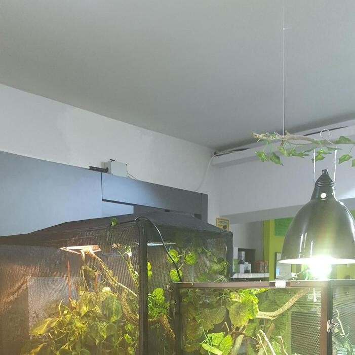 Images Reptil Parc