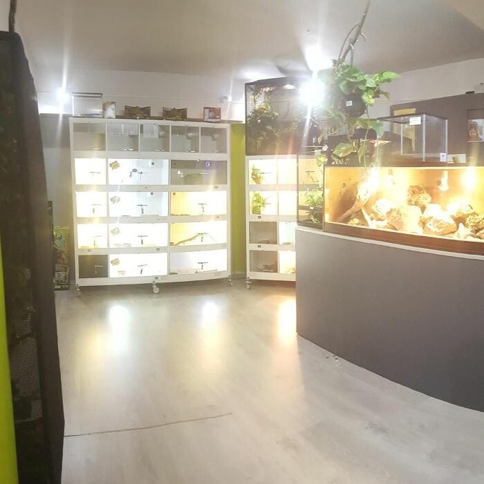 Images Reptil Parc