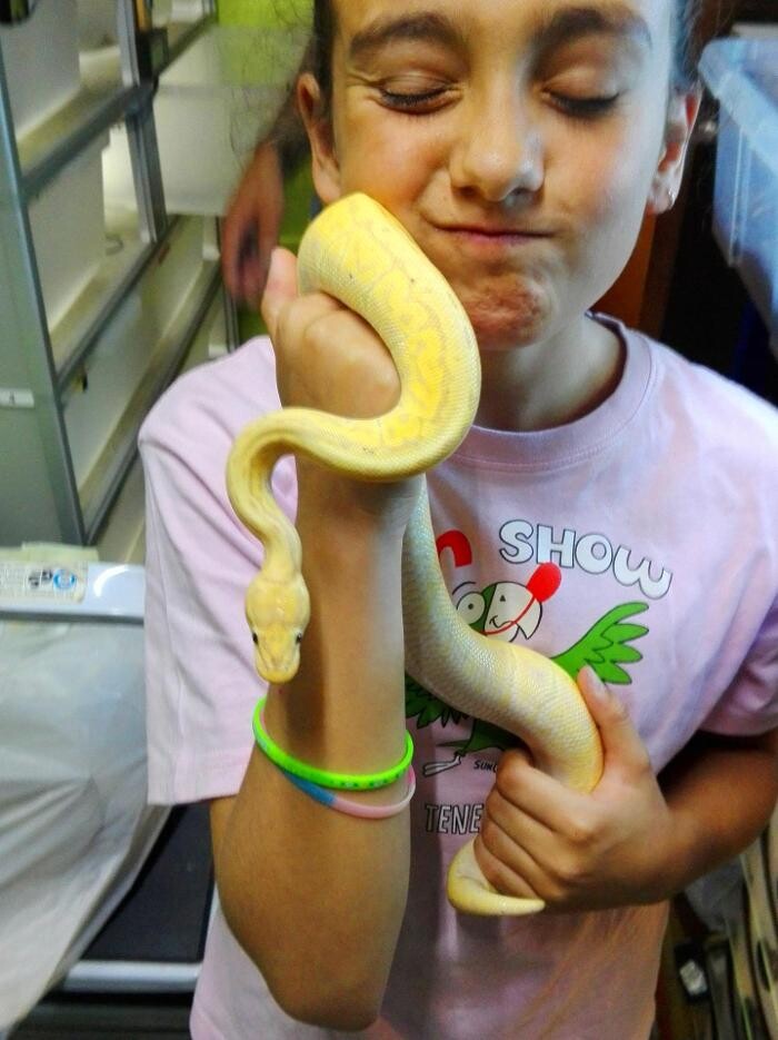 Images Reptil Parc