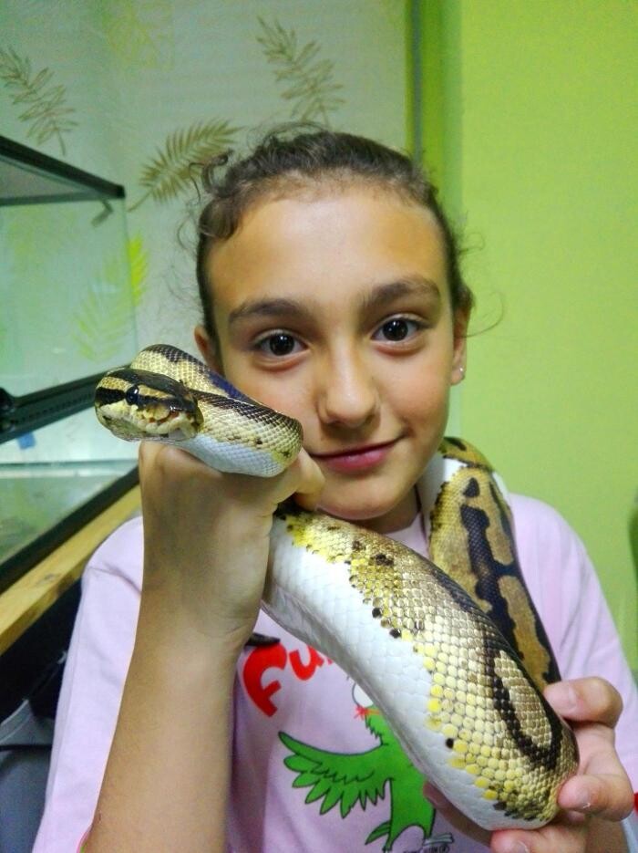 Images Reptil Parc