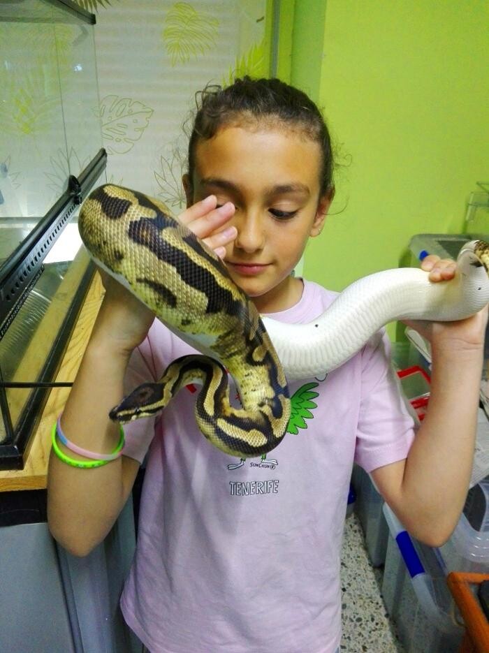 Images Reptil Parc