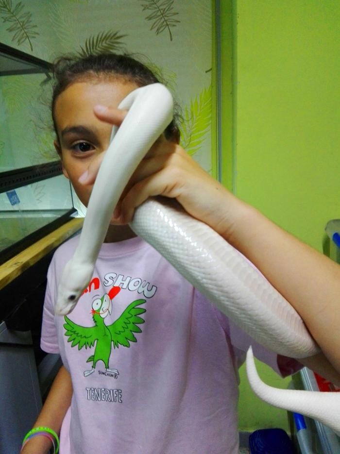 Images Reptil Parc