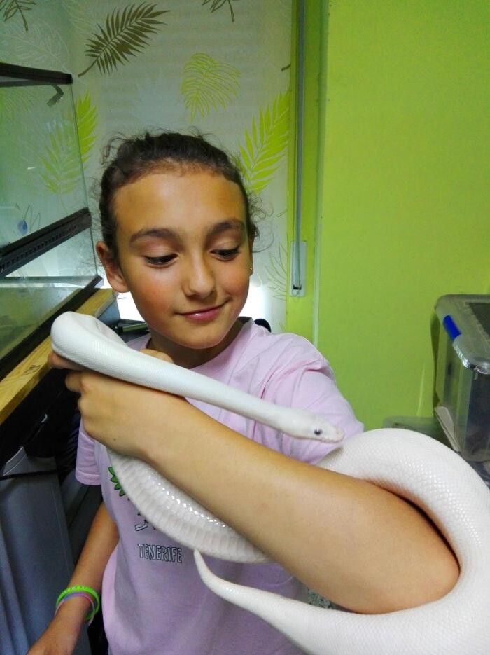 Images Reptil Parc