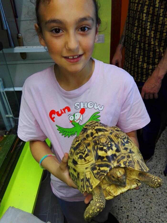 Images Reptil Parc