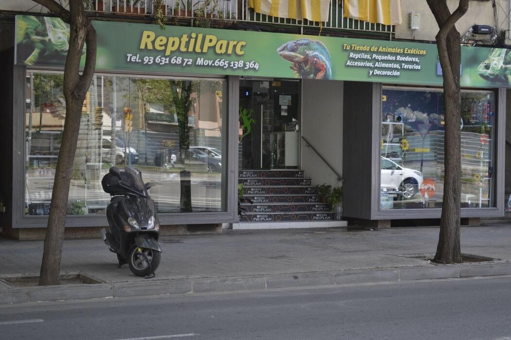 Images Reptil Parc