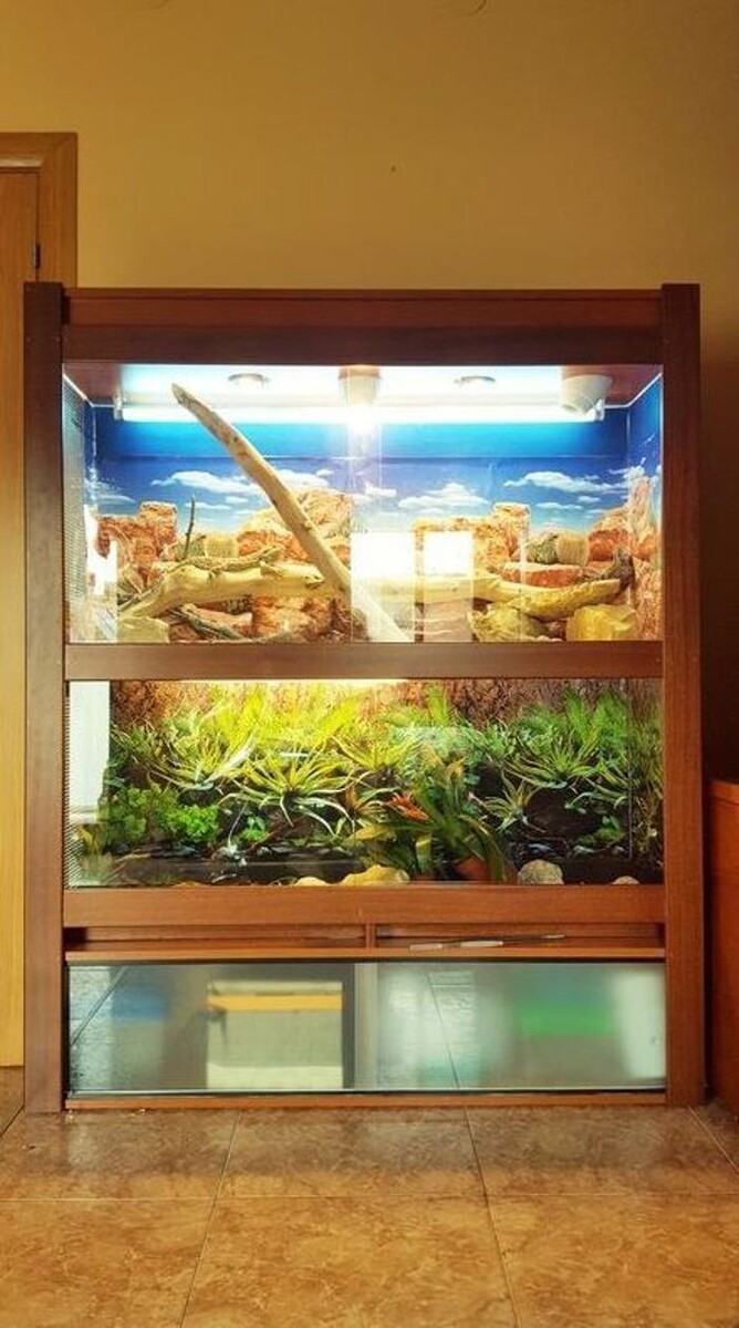 Images Reptil Parc