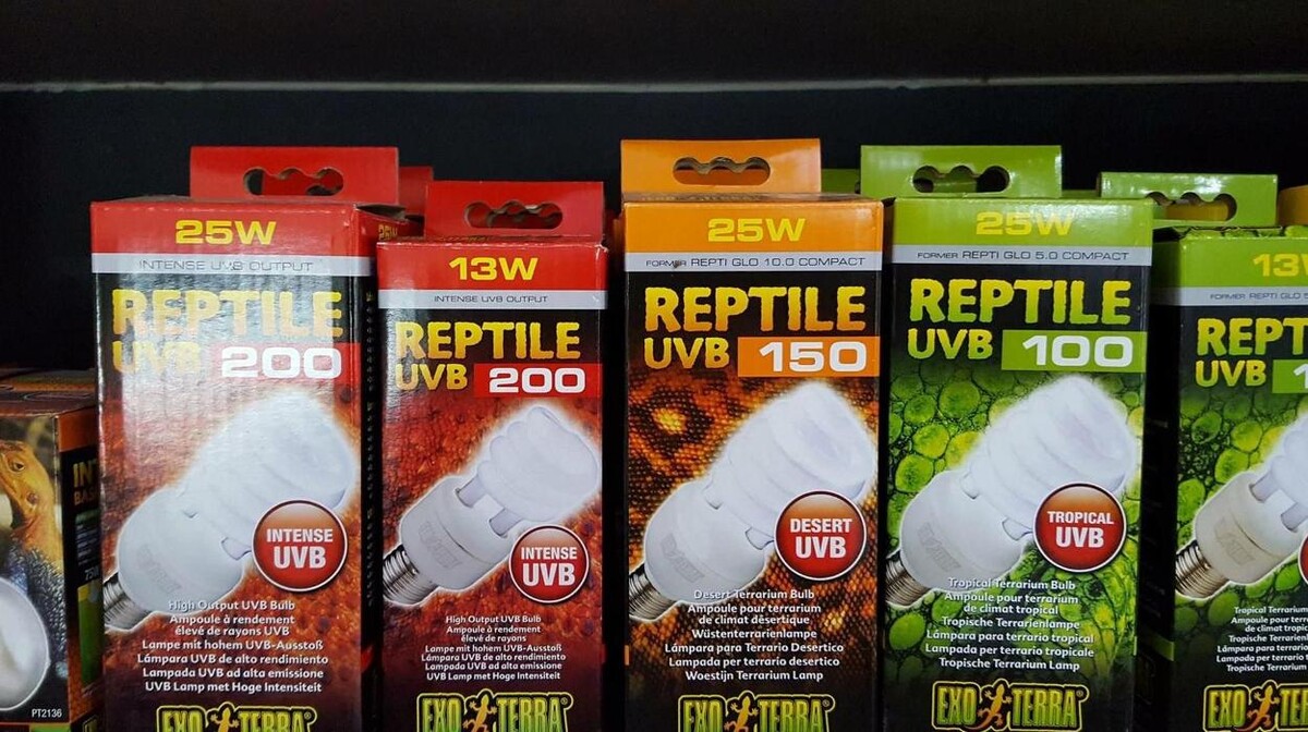 Images Reptil Parc