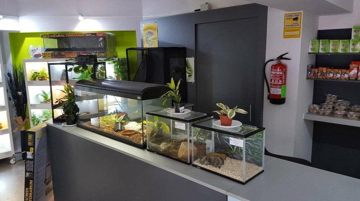 Images Reptil Parc