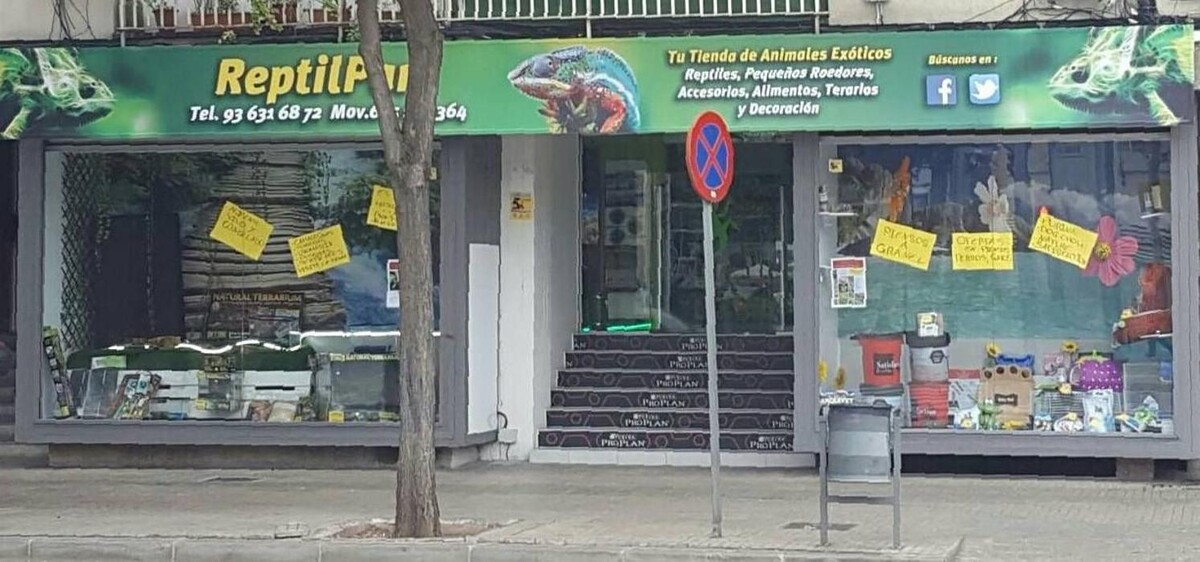 Images Reptil Parc