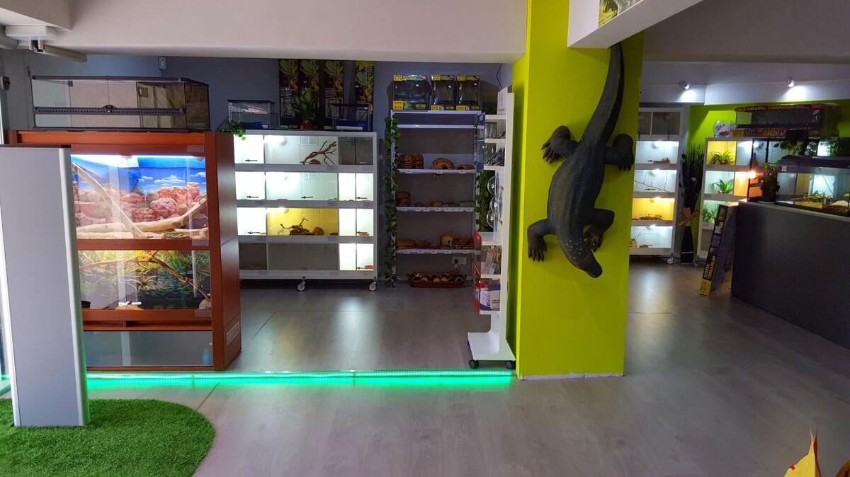 Images Reptil Parc