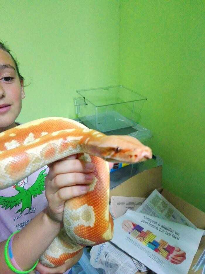 Images Reptil Parc