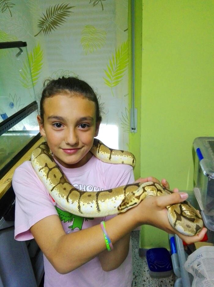 Images Reptil Parc