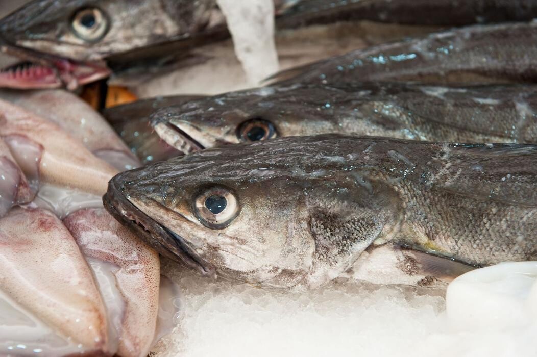 Images Peixateríes Martí